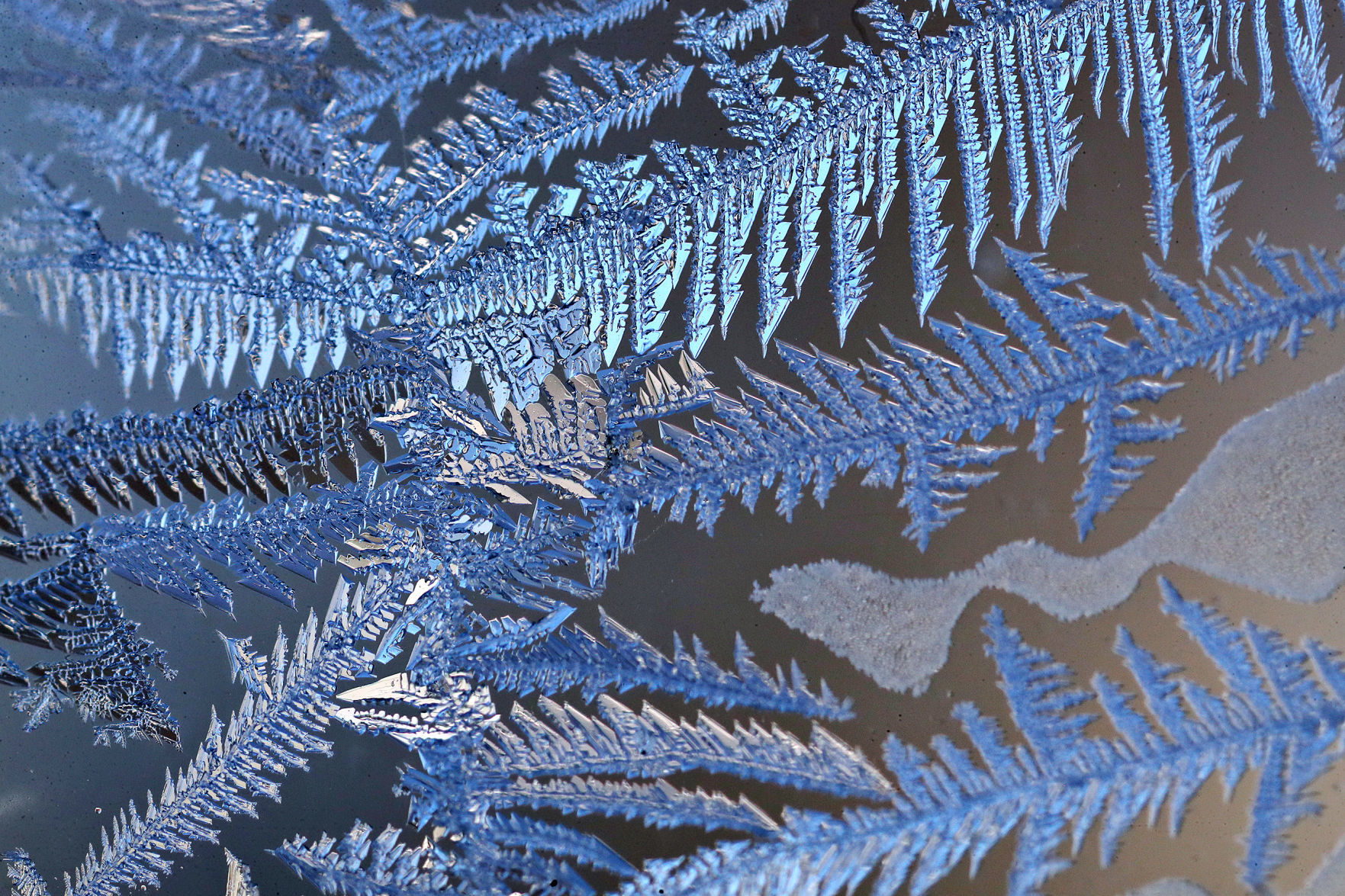 190130_COLD05